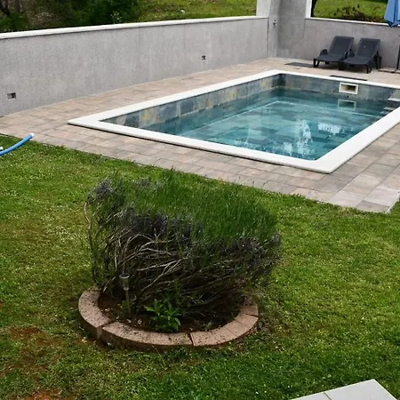 Mali Golji Veligolji